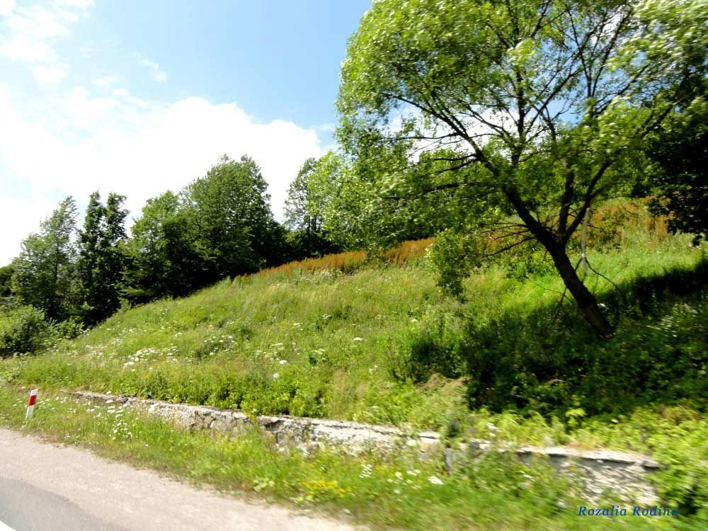 Латорка 