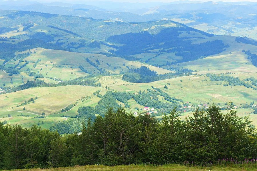 Пилипец