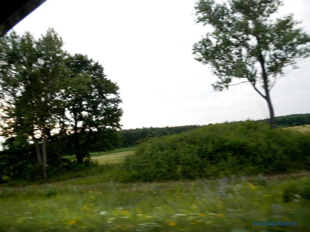Дерцен