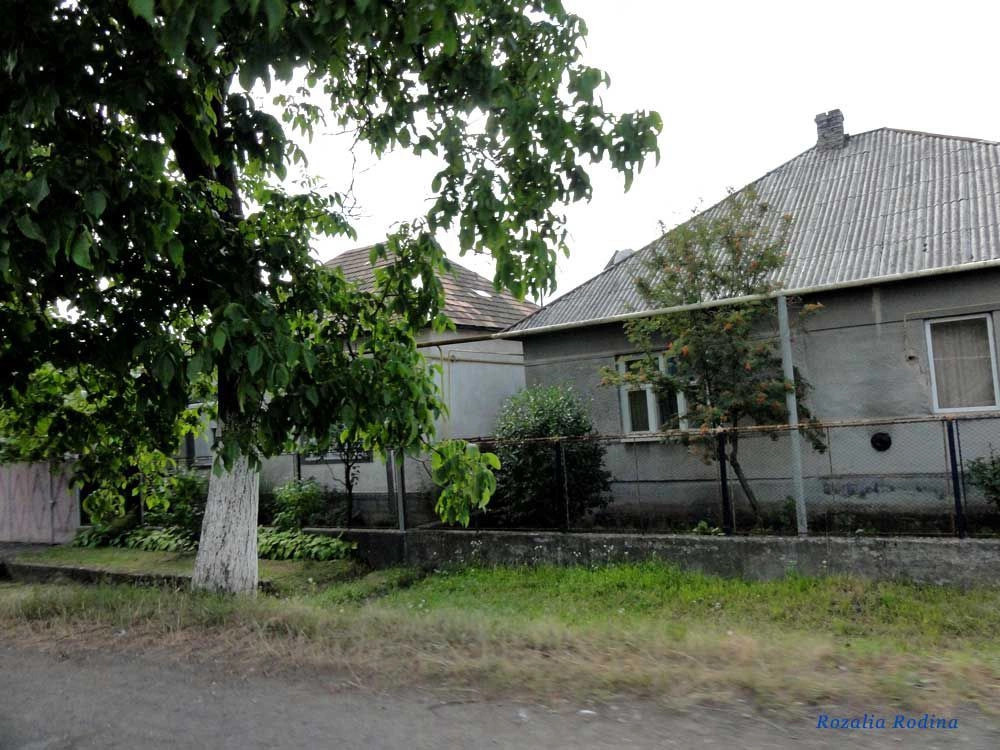 Кольчино