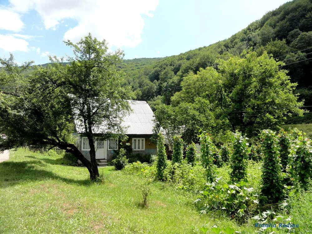 Раховский район