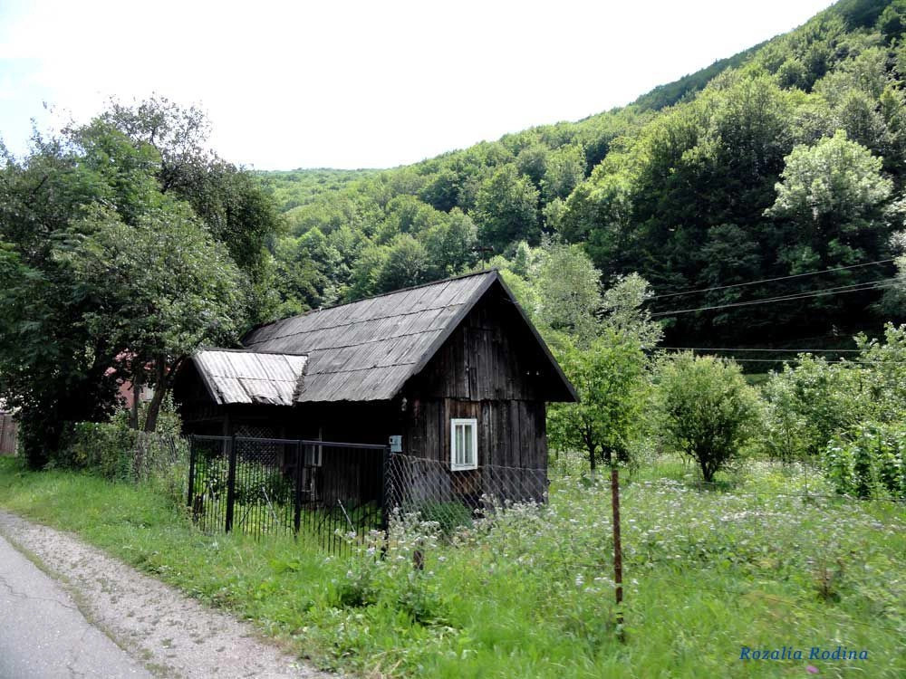 Белин