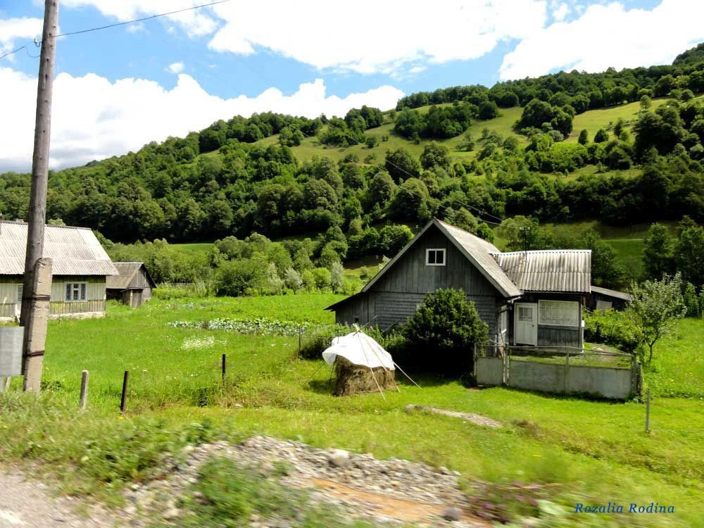 Белин