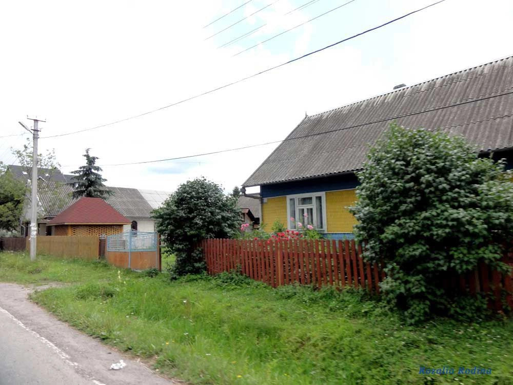 Лазещина