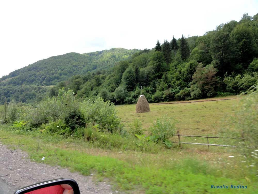 Ганьковица