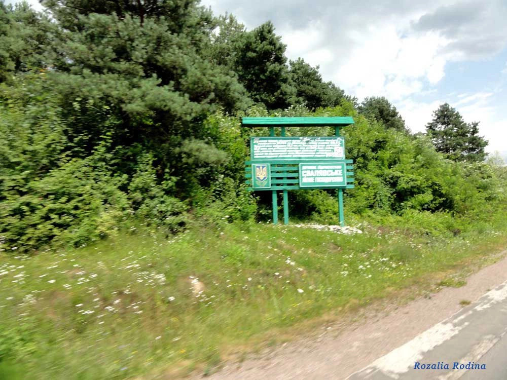 Свалявский район