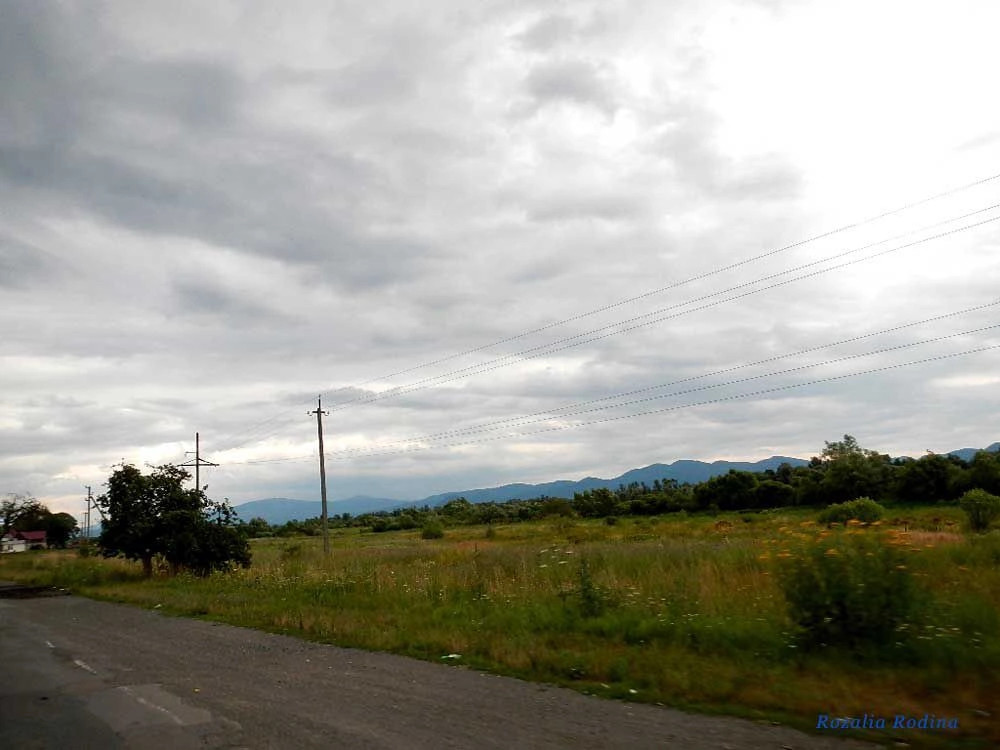 Сокирница