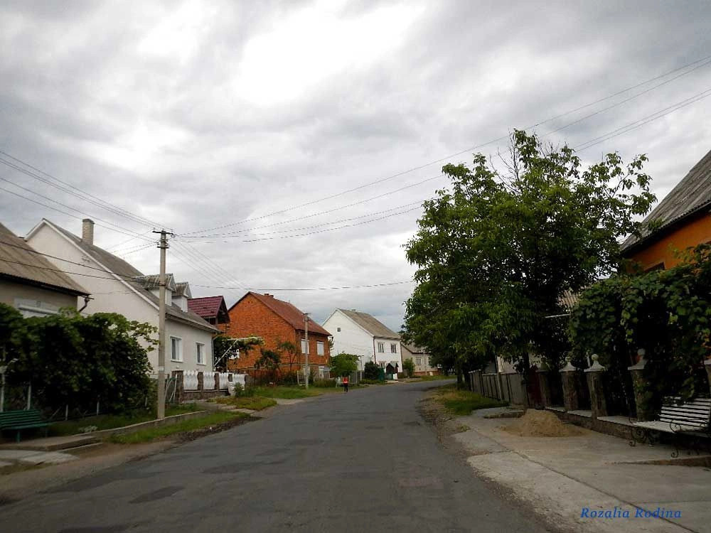 Сокирница