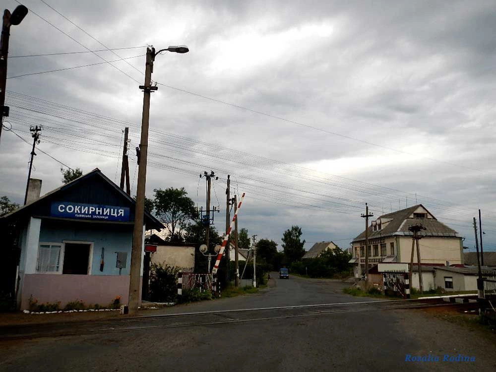 Сокирница