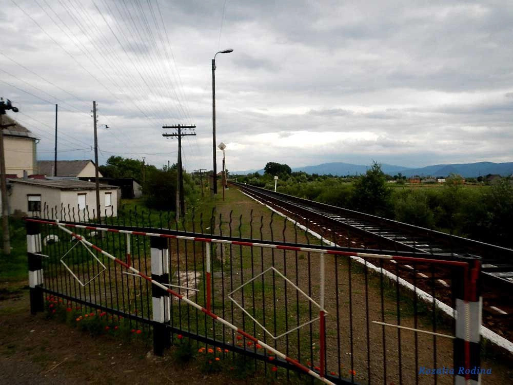 Сокирница