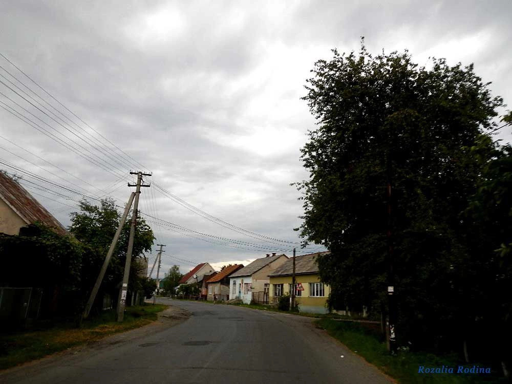 Сокирница