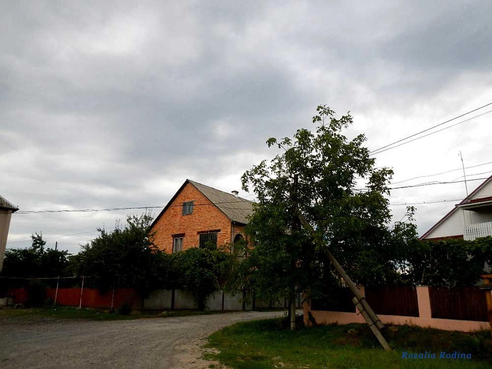 Сокирница