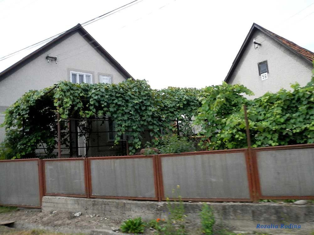 Сокирница
