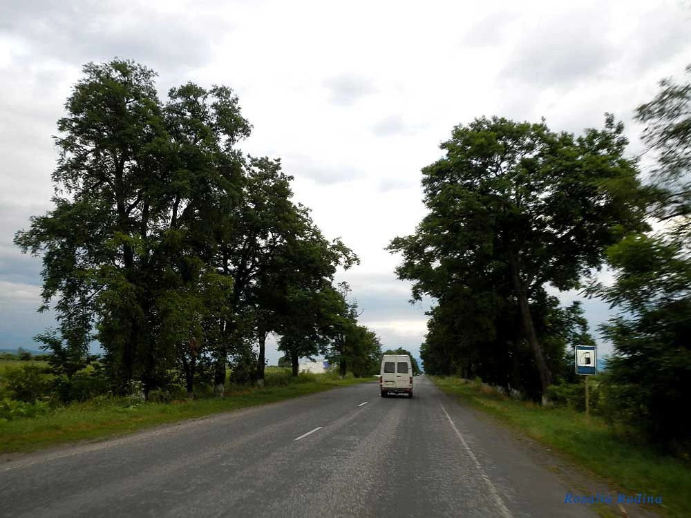 Сокирница