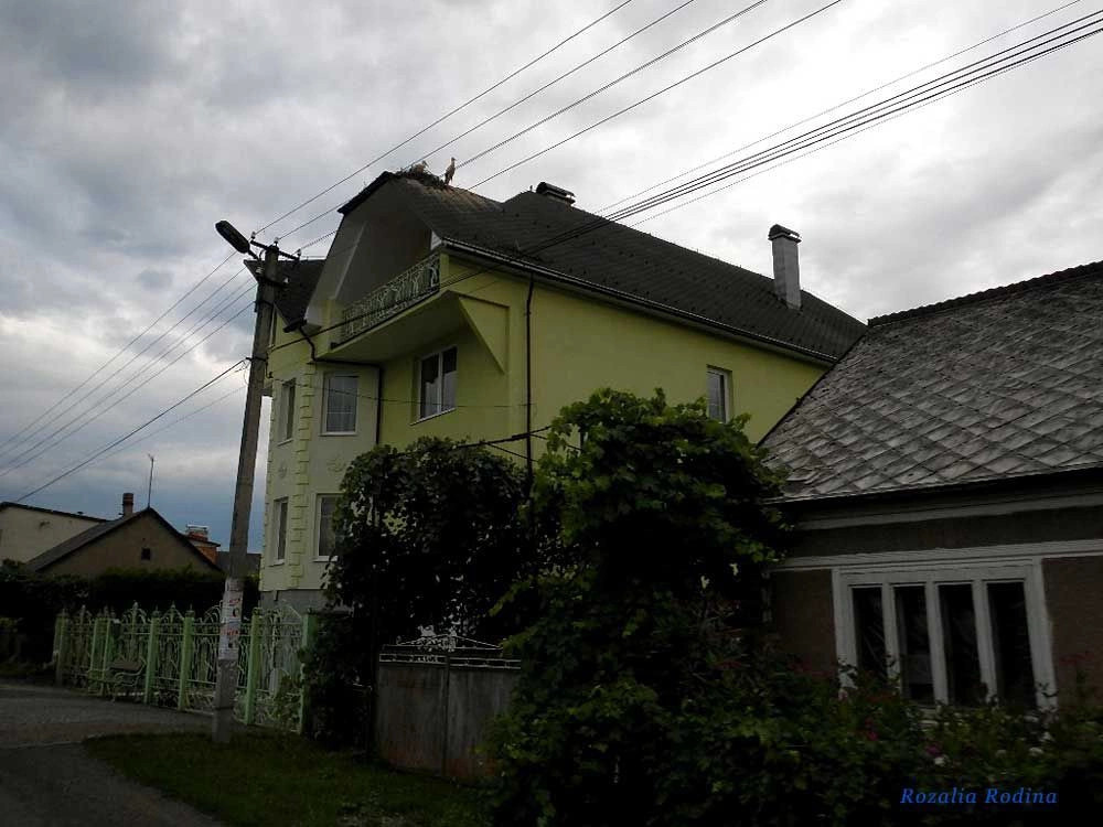Стеблёвка