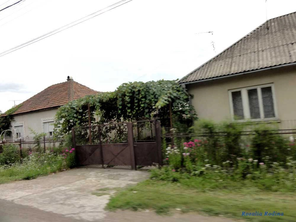 Затишное (Берегово)