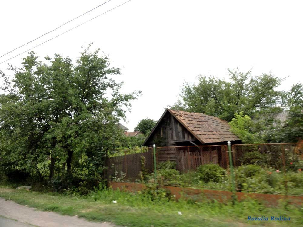 Затишное (Берегово)