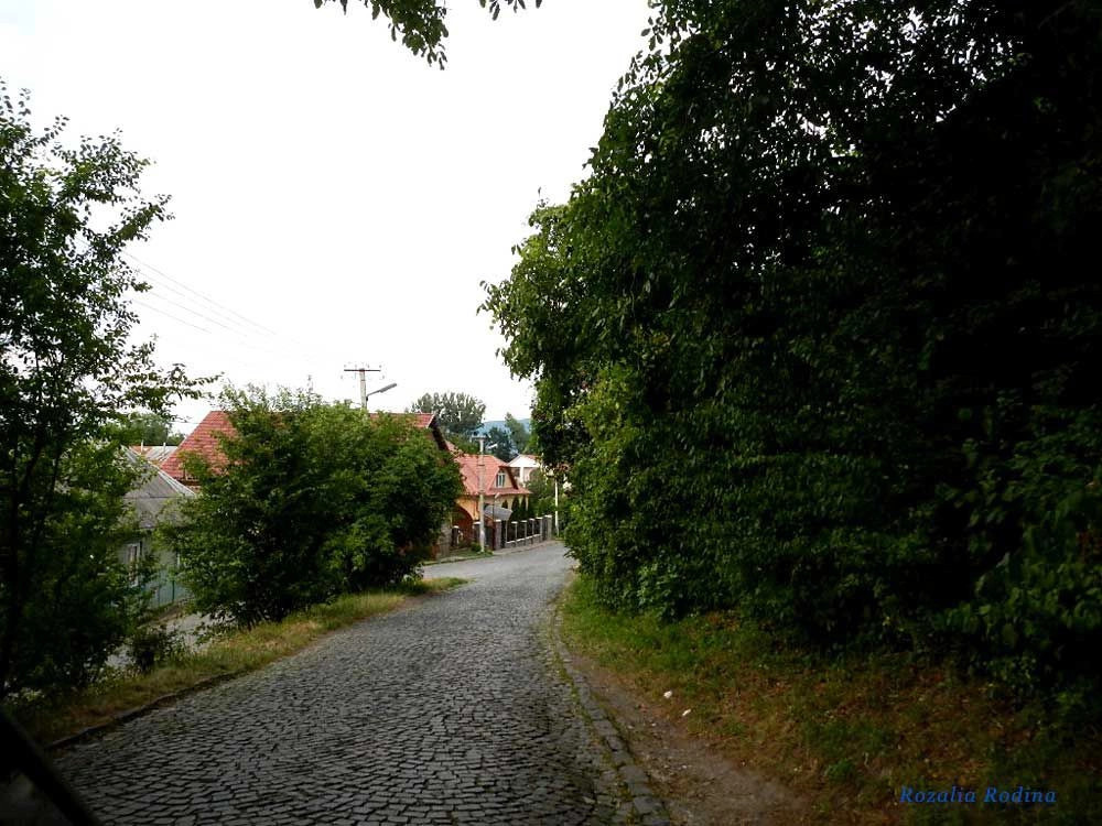Паланок