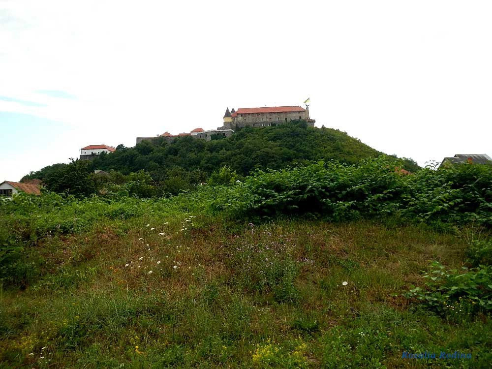 Паланок