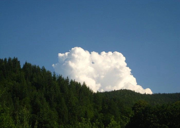 Манява