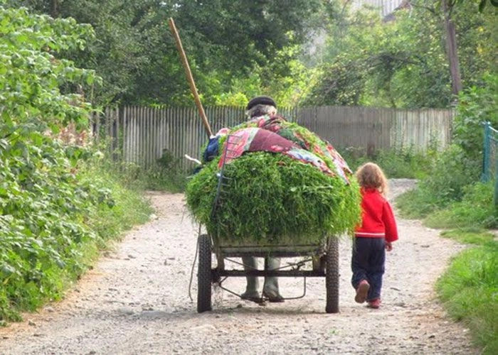 Манява
