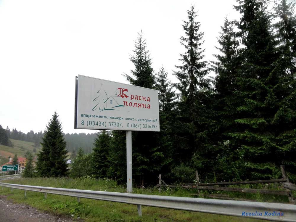 Яблоница