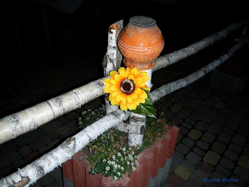 Коломыйский район