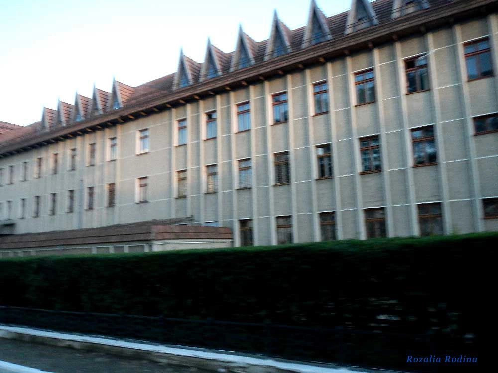 Коломыйский район