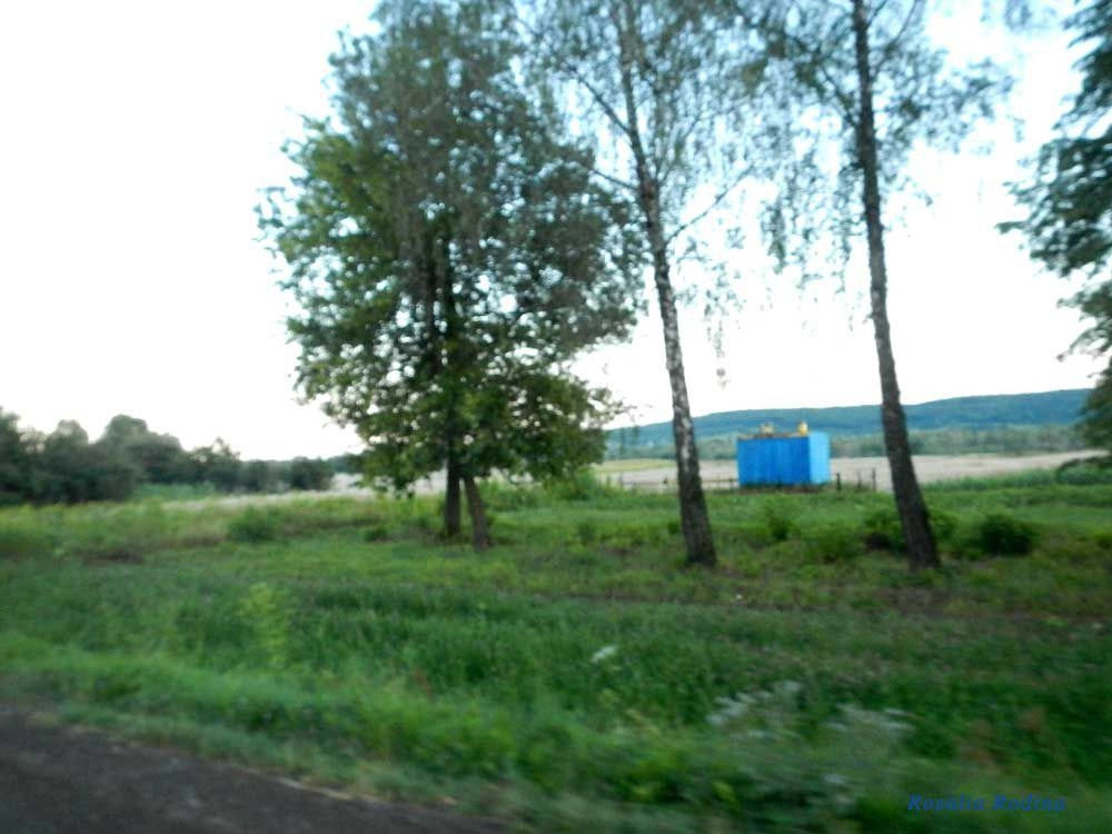 Шепаровцы