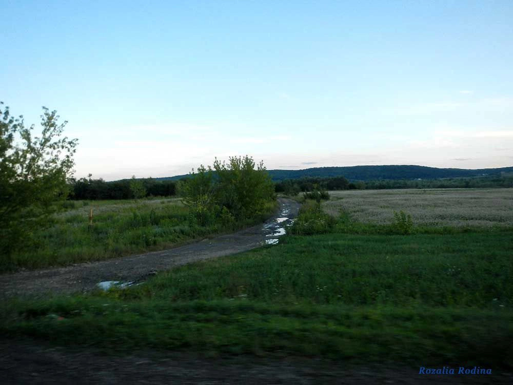 Шепаровцы