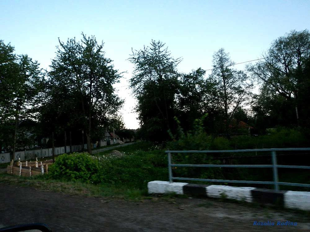 Шепаровцы