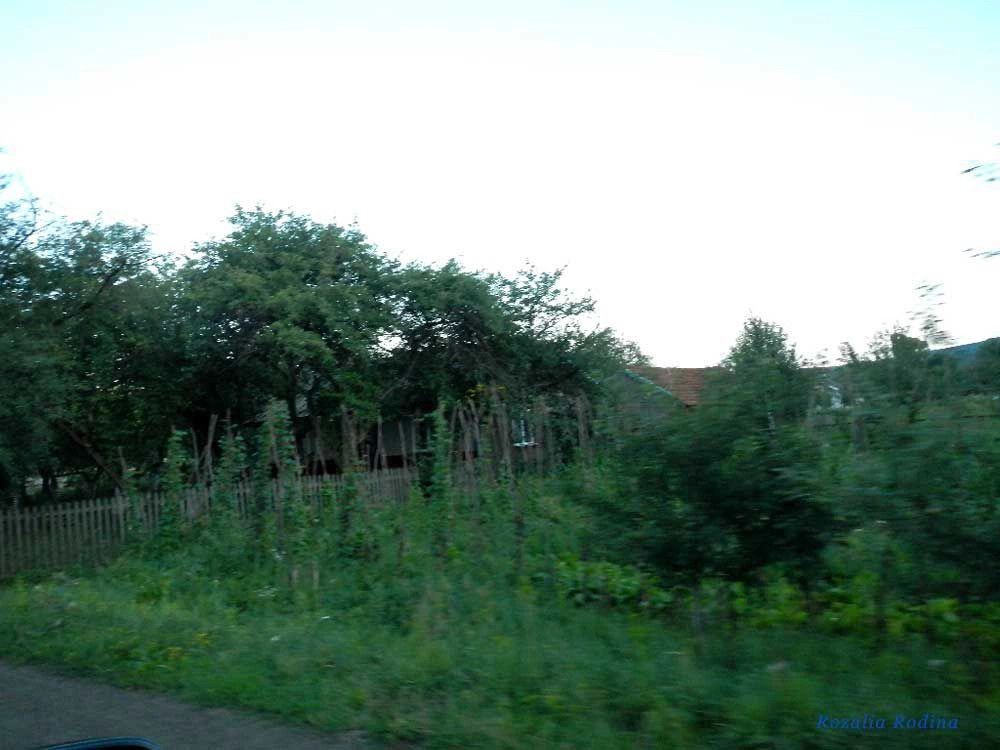 Шепаровцы