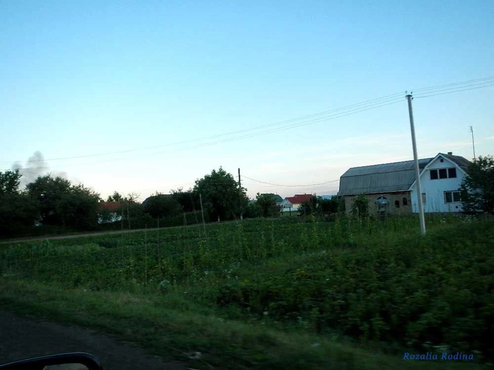 Шепаровцы
