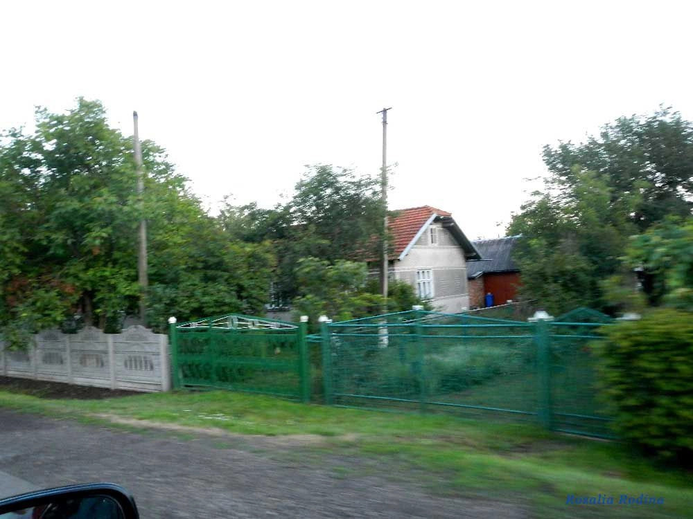 Шепаровцы