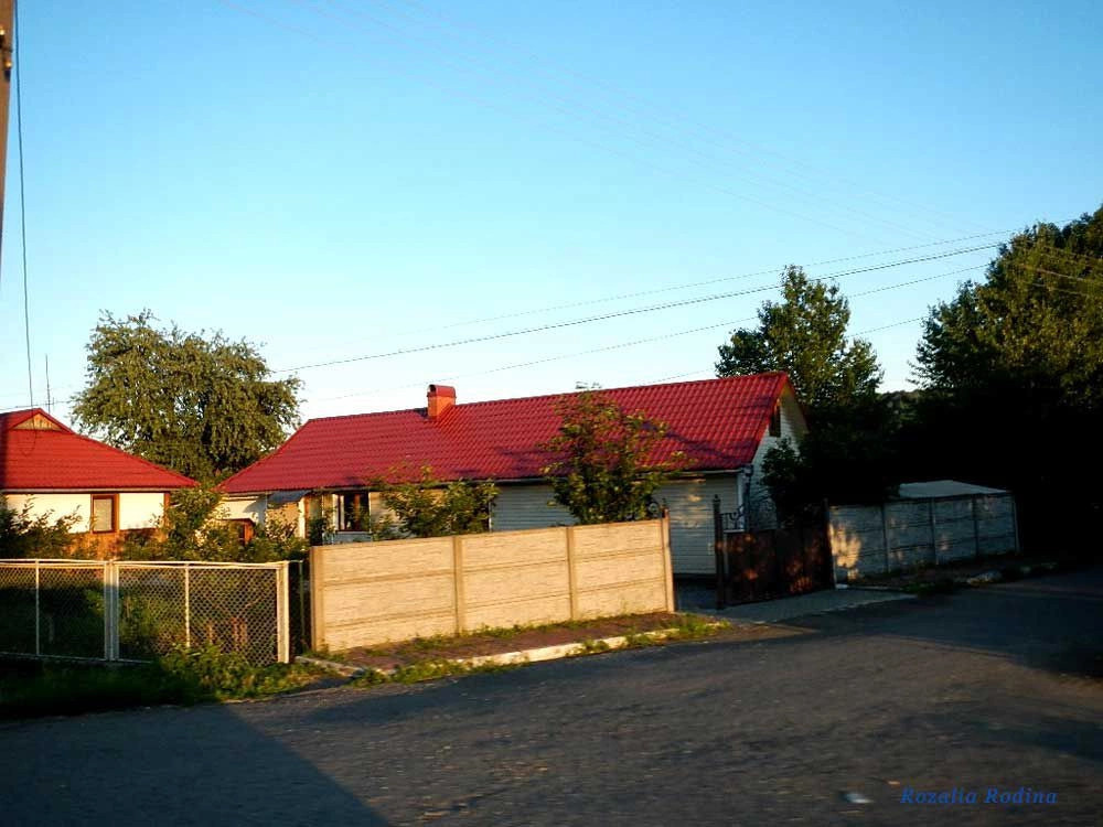 Коломыйский район