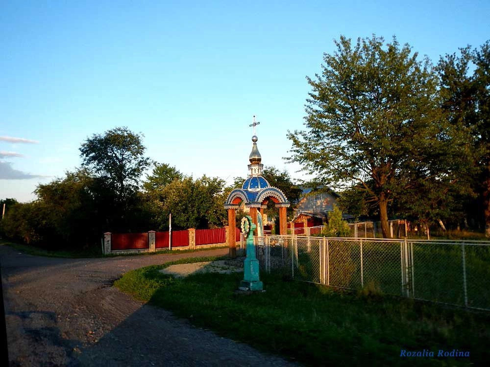 Коломыйский район