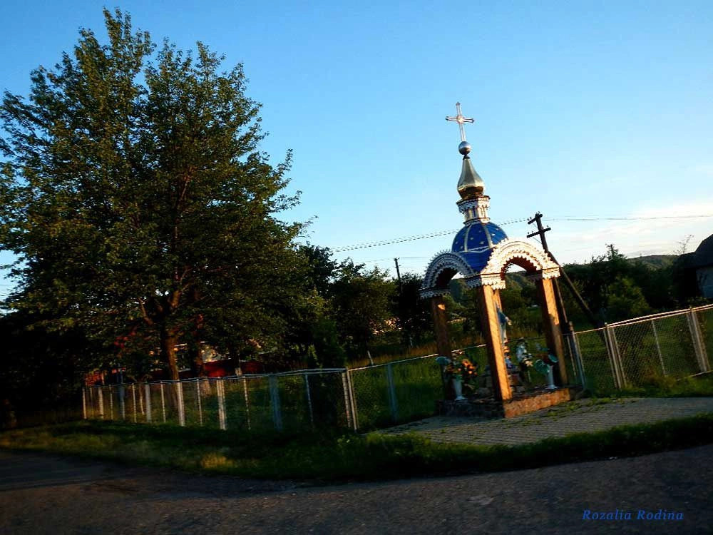 Коломыйский район