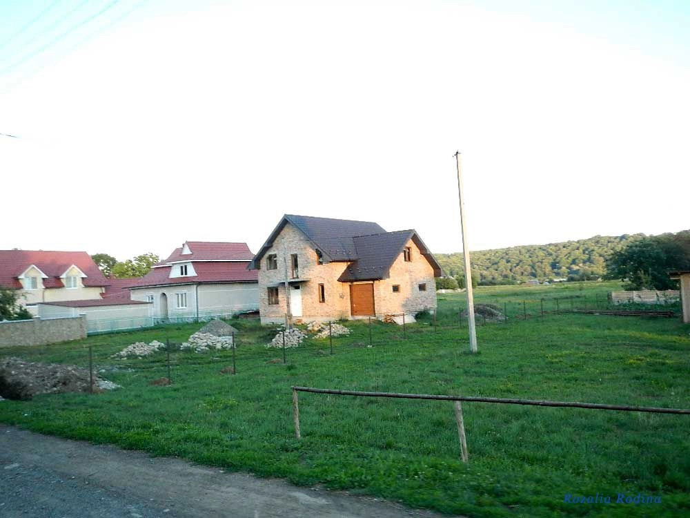 Коломыйский район