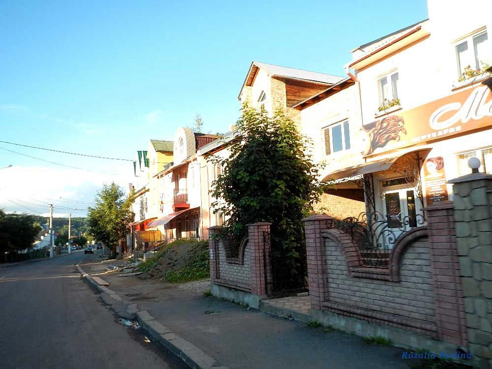 Надворнянский район