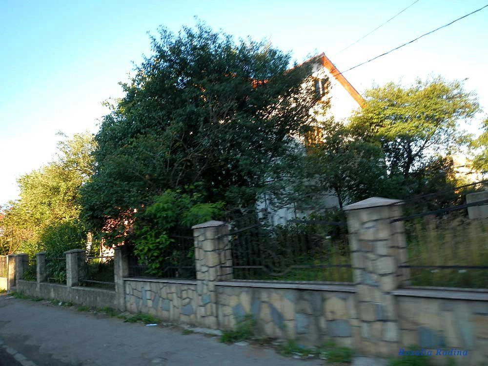 Надворнянский район