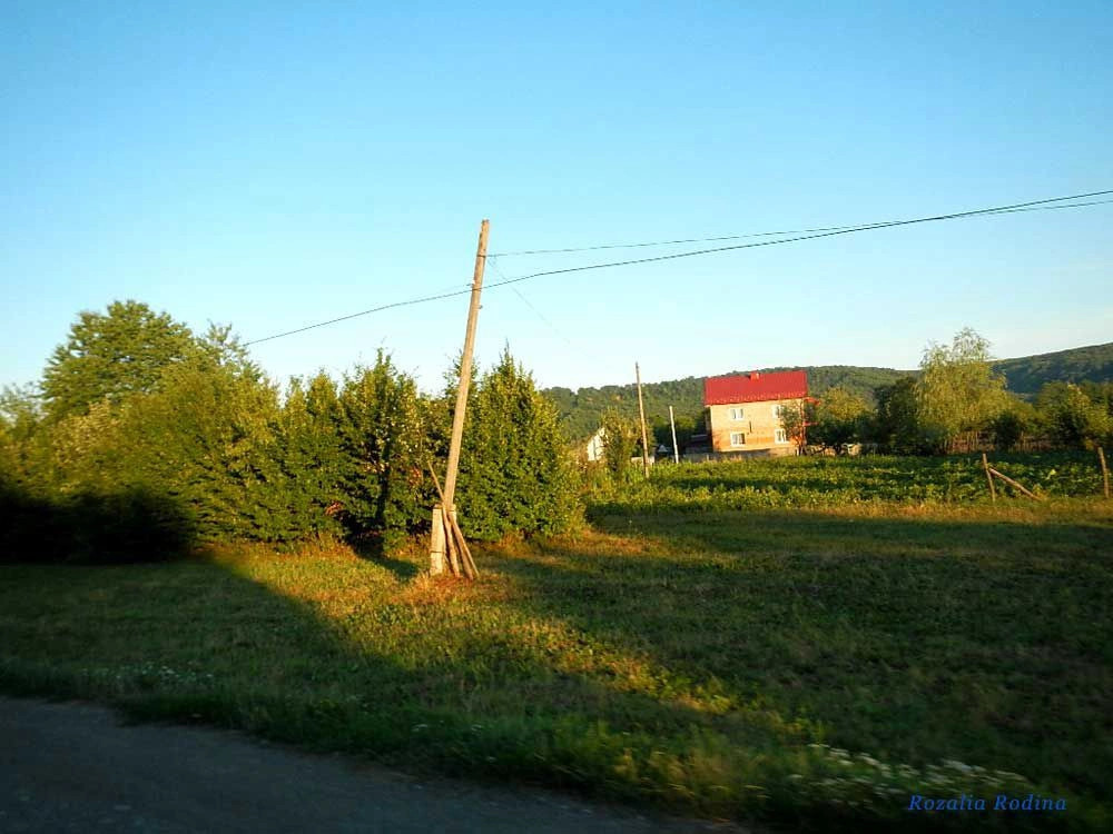Саджавка