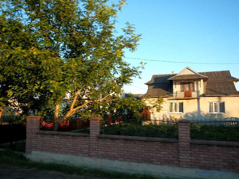 Саджавка