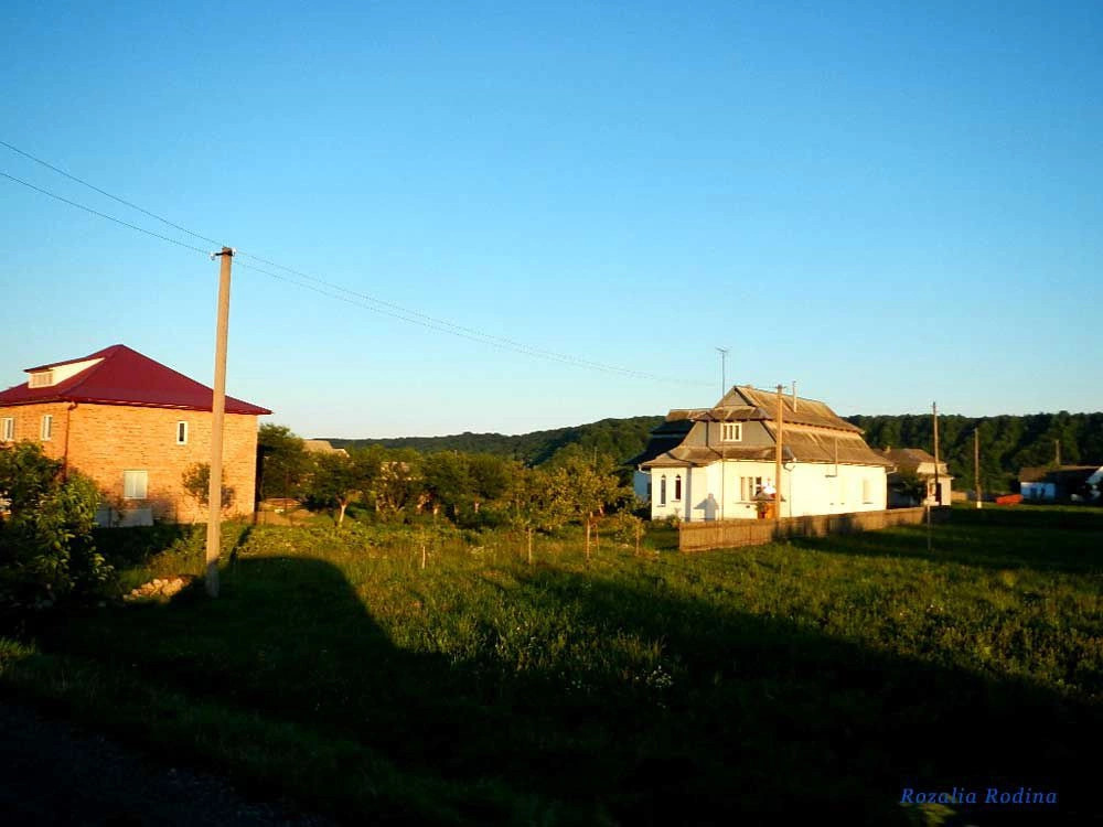 Саджавка