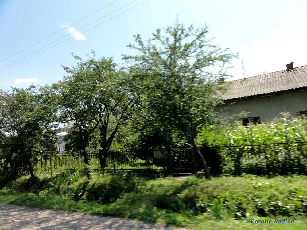 Нижнев