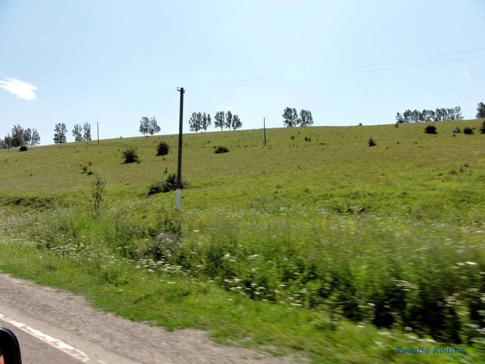 Нижнев