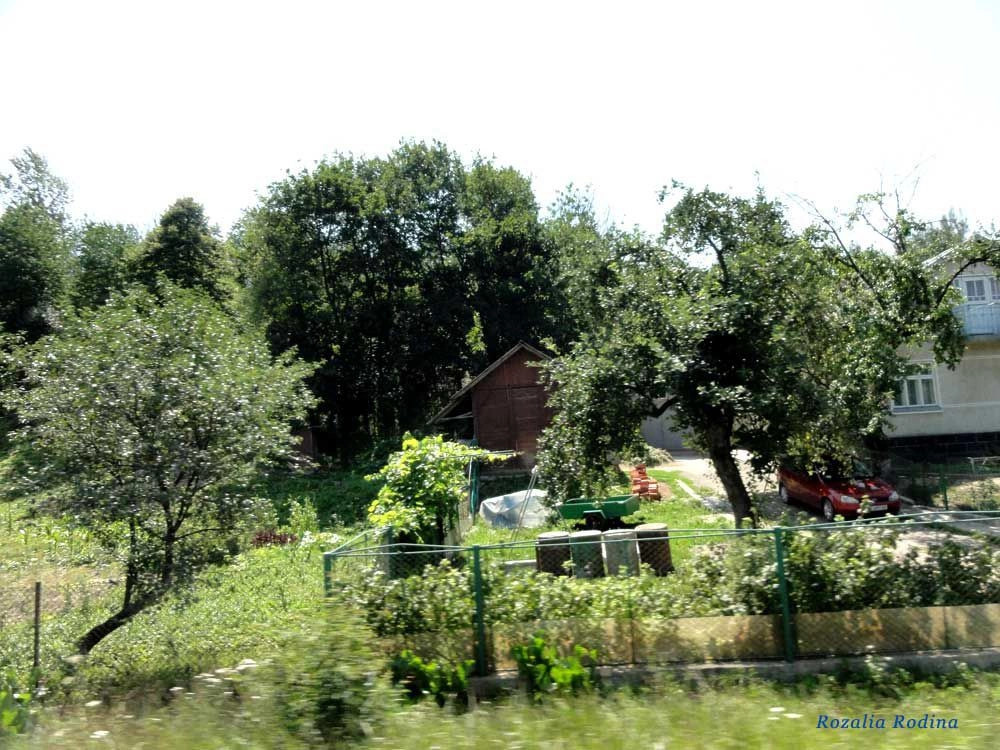 Нижнев