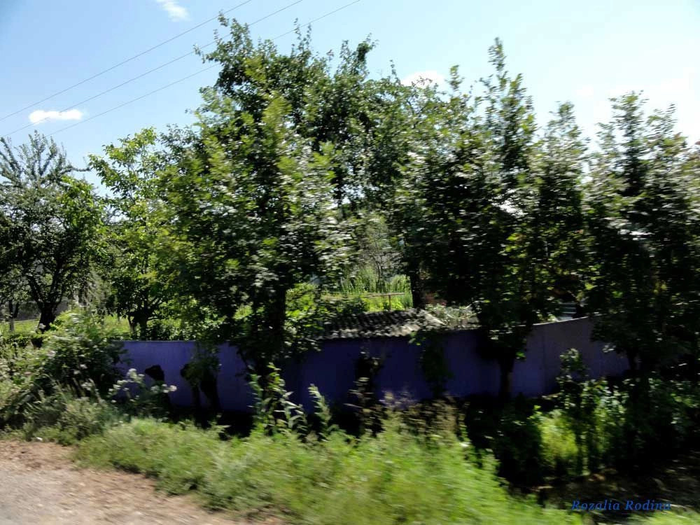 Нижнев