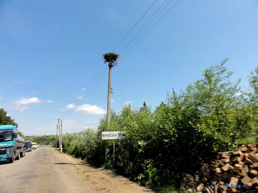 Нижнев