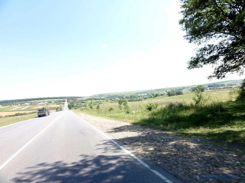 Острыня