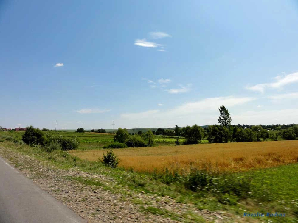 Острыня